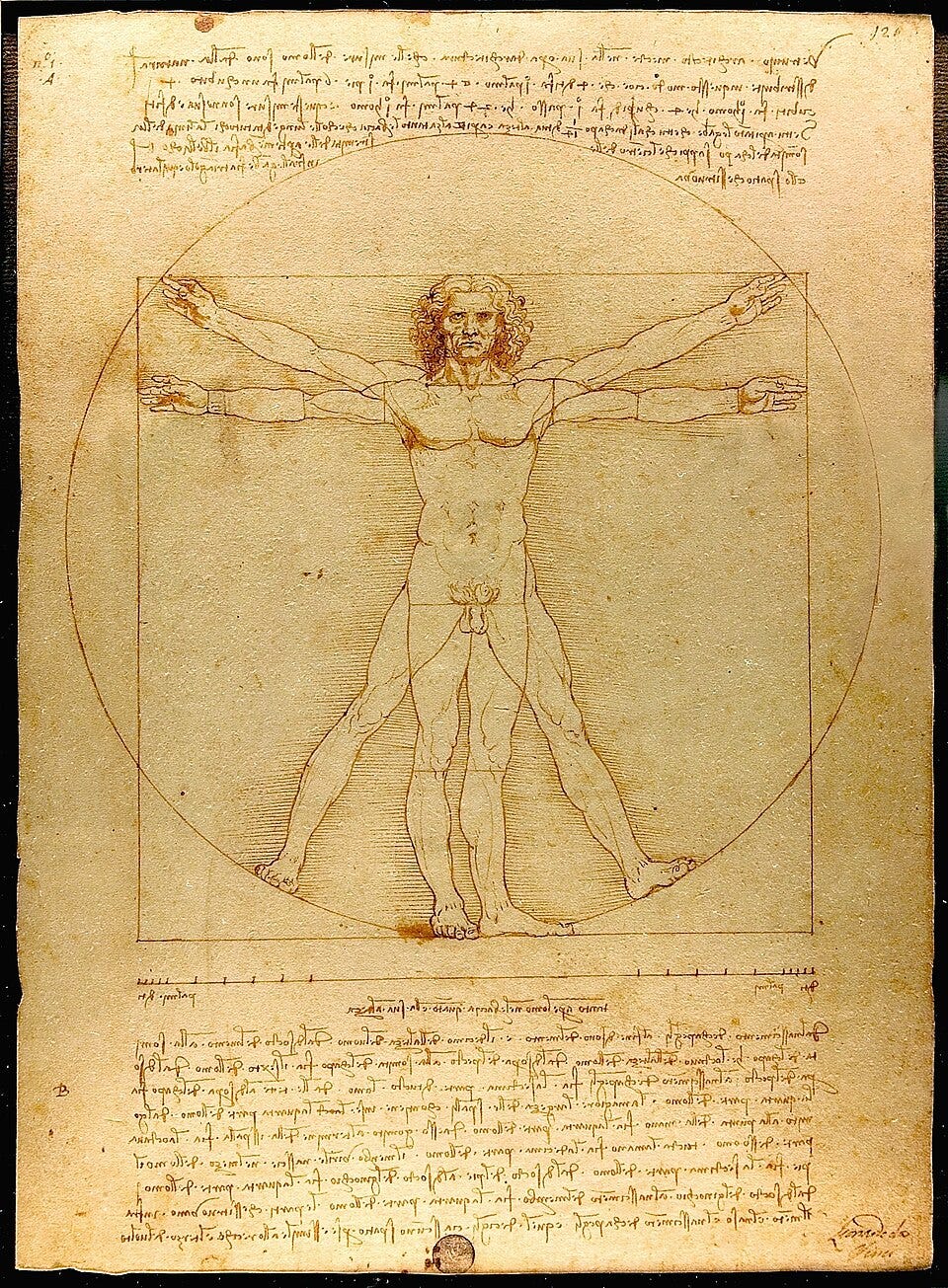Vitruvian Man, Leonardo da Vinci, 1490